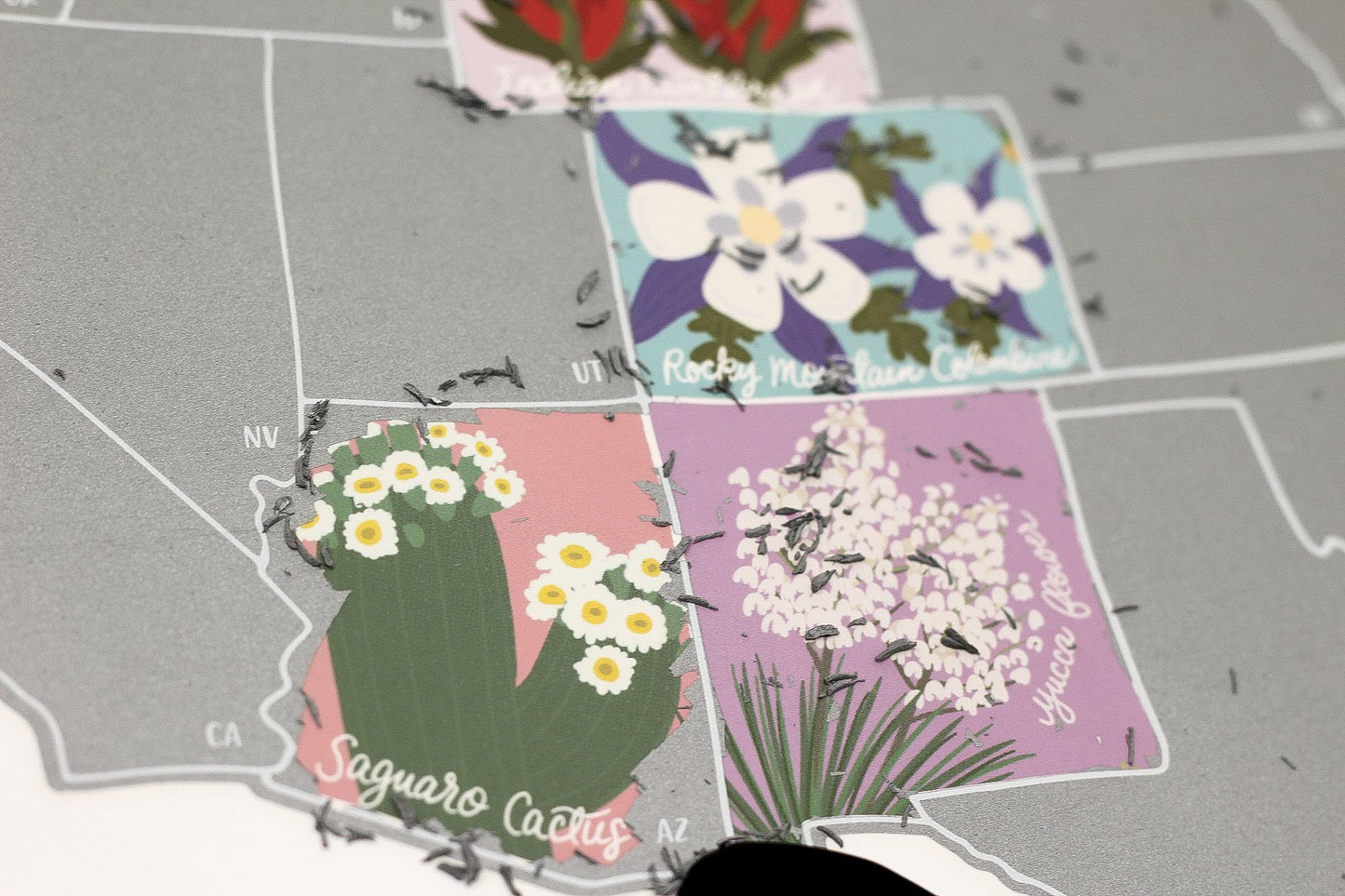 Scratch Your Travels® Official US State Flowers Map (Silver)